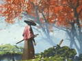 การสะท้อนซามูไร เกมออนไลน์