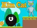 คิมแมว เกมออนไลน์