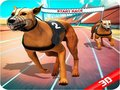 การแข่งสุนัขบ้า เกมออนไลน์