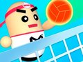 3D วอลเลย์บอลที่น่าทึ่ง เกมออนไลน์