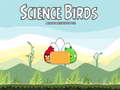 นกวิทยาศาสตร์ เกมออนไลน์