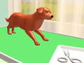 การดูแลสัตว์เลี้ยง เกมออนไลน์