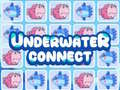 การเชื่อมต่อใต้น้ำ เกมออนไลน์