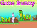 คาโนกระต่าย เกมออนไลน์