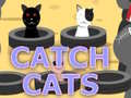 จับแมว เกมออนไลน์