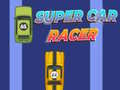 ซูเปอร์คาร์เรเซอร์ เกมออนไลน์