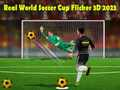 ฟุตบอลโลกจริง ๆ ฟลิกเกอร์ 3D 2023 เกมออนไลน์