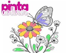 Pinta สี เกมออนไลน์