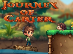 การเดินทางของคาร์เตอร์ เกมออนไลน์
