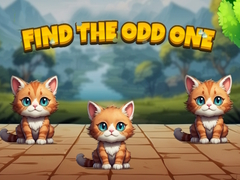 หาตัวแปลก เกมออนไลน์