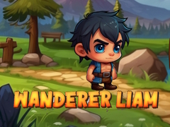 ผู้เดินทางเลียม เกมออนไลน์