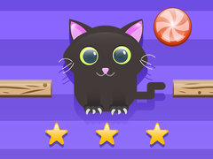 ความท้าทายแมว เกมออนไลน์