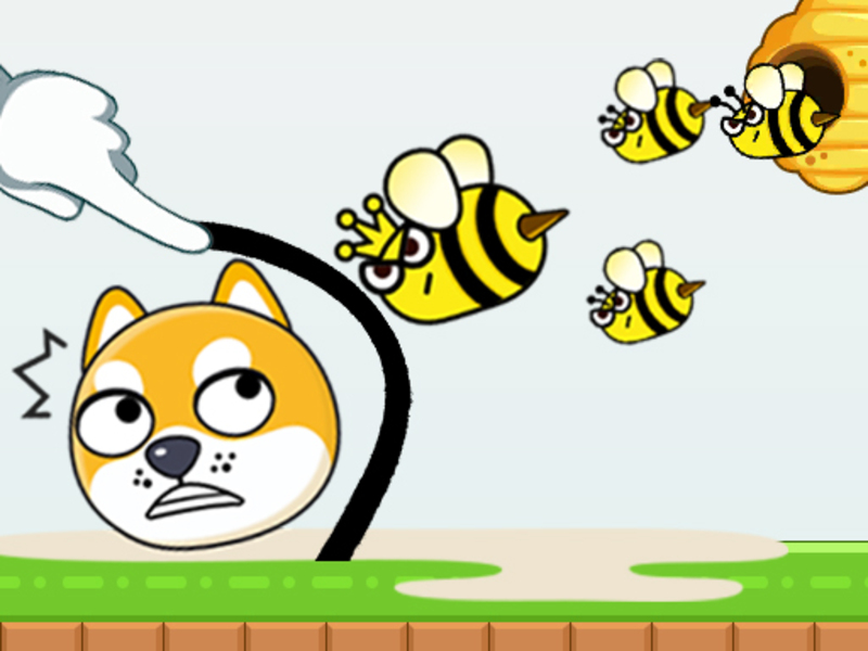 ช่วยสัตว์เลี้ยงของฉัน เกมออนไลน์